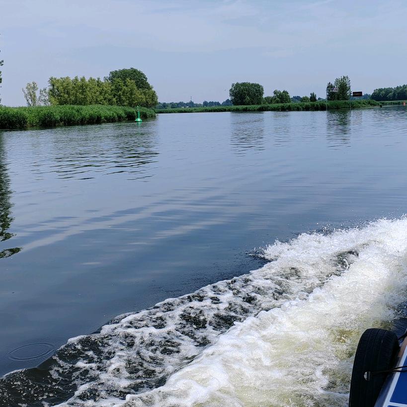 卖水果的菠萝蜜