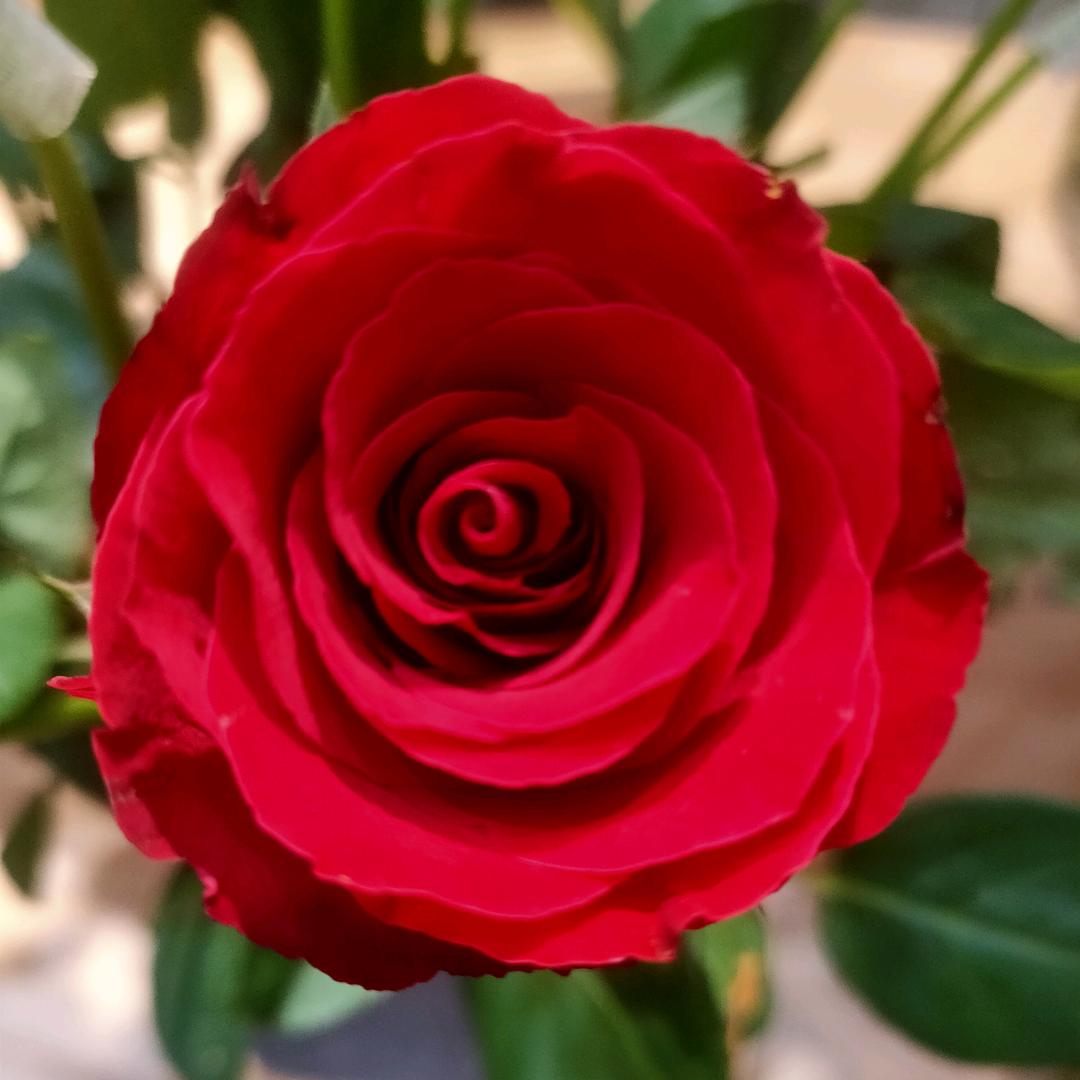 瑛瑛🌹🌹💝💝🌺🌺