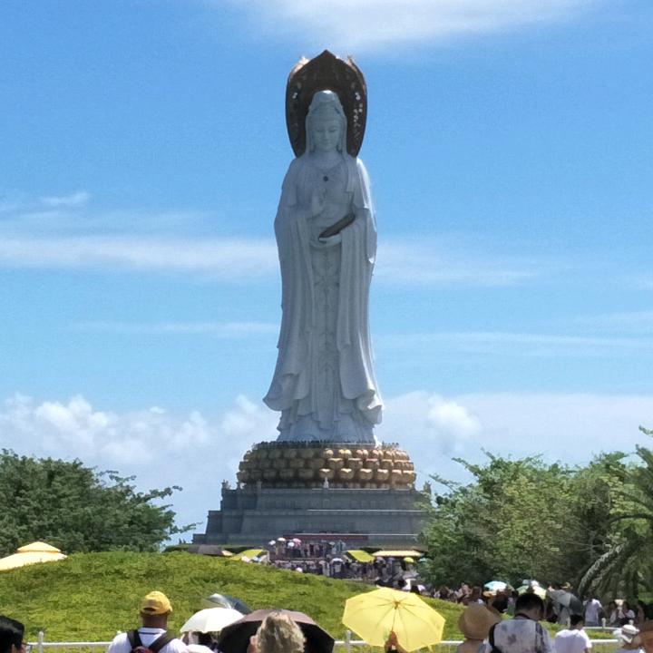 龙哥