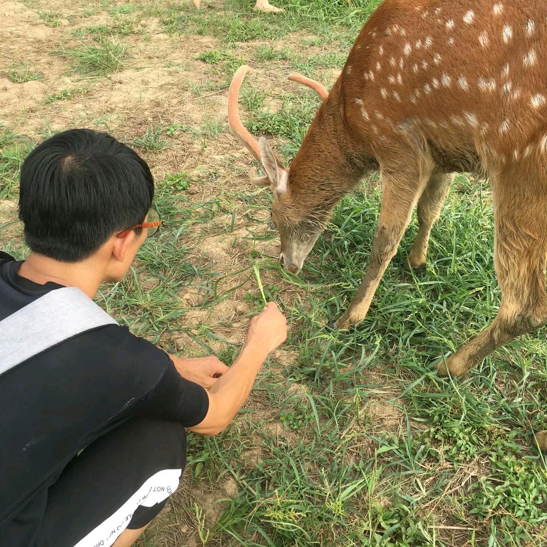 我叫你一声，你敢答应吗？