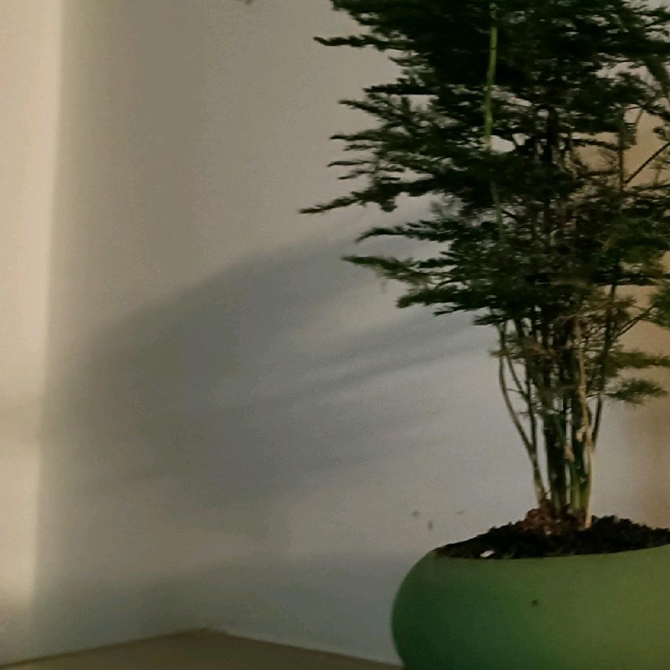 此时未老