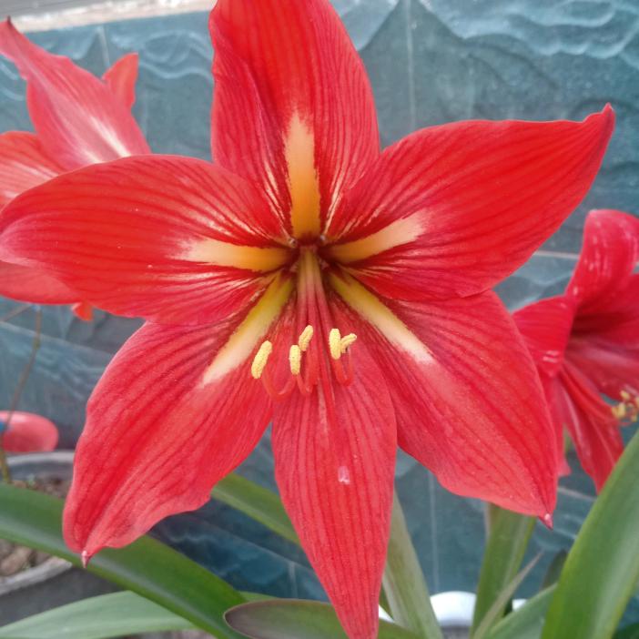 春夏秋冬🇨🇳