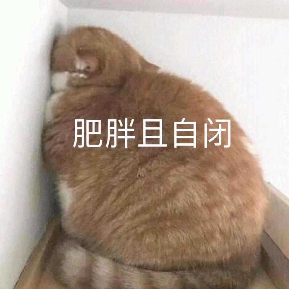 啊哲