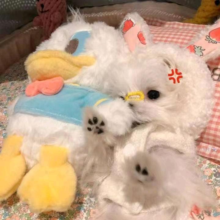 飘落的树叶