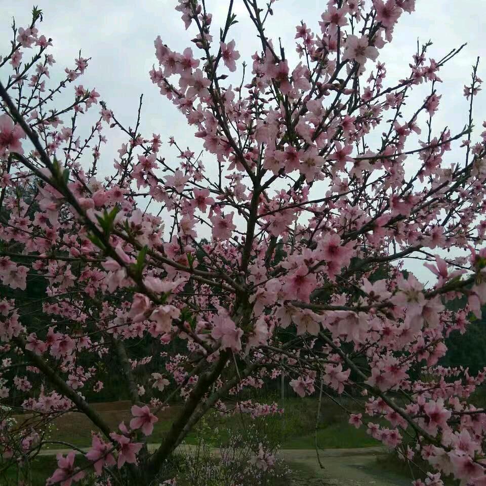 开心快乐🦋🦋