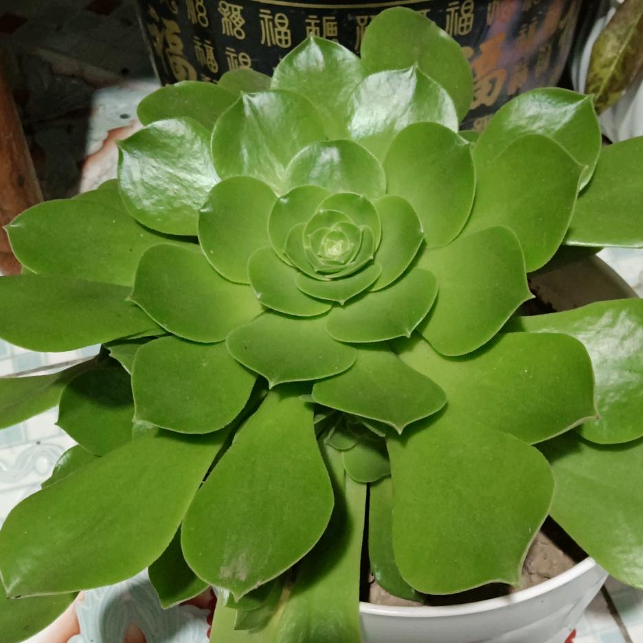 我好喜欢你