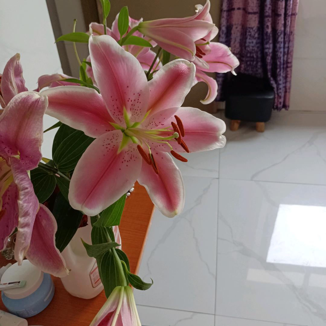 懵懂的我