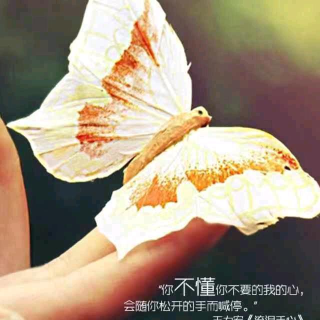 当语