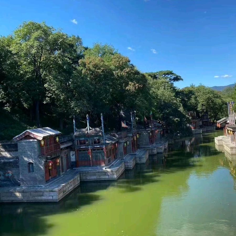 一生有鸿运
