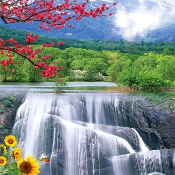 水晶玫瑰