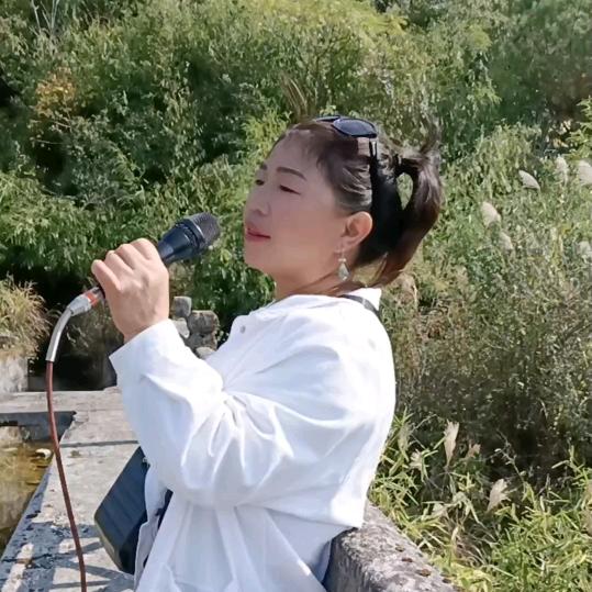 苗家六婶