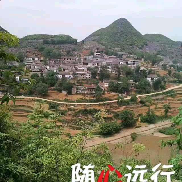 用户366160刘显文