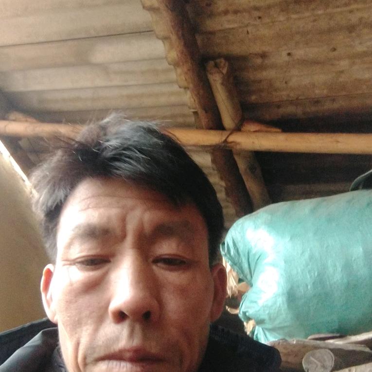 罗应𤣩珍