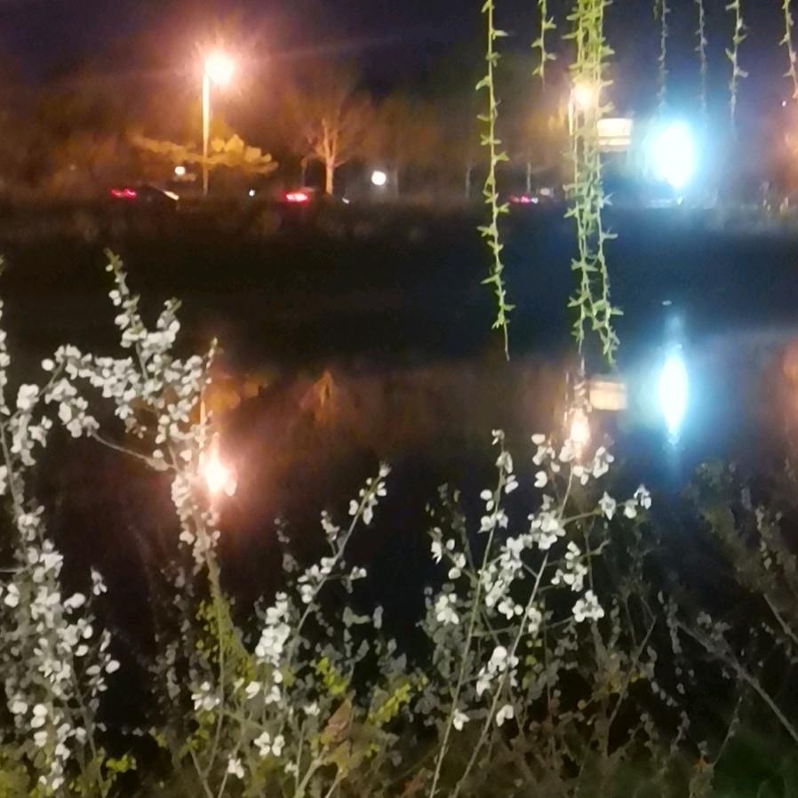 叶子姐  @要种菜园子的姐