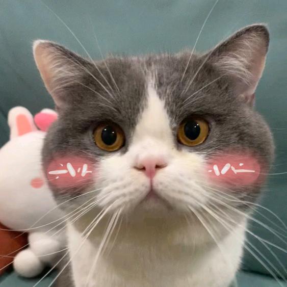 肥肥和阿卡丽