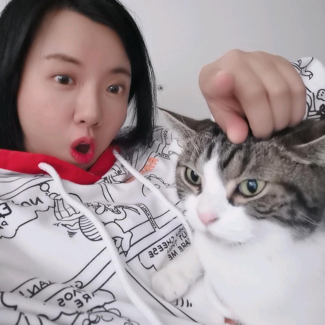 豆本豆🐱