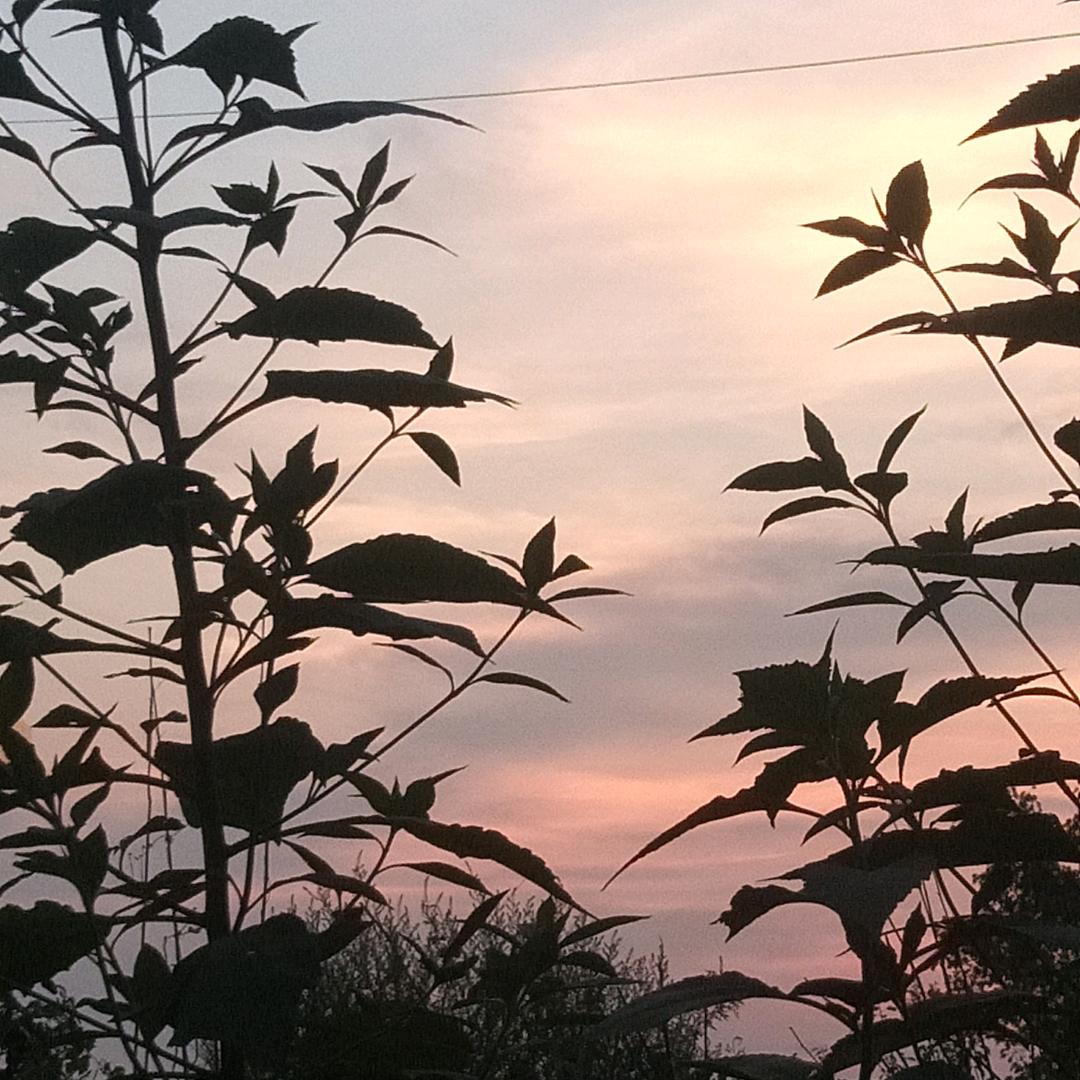 水中的浪花