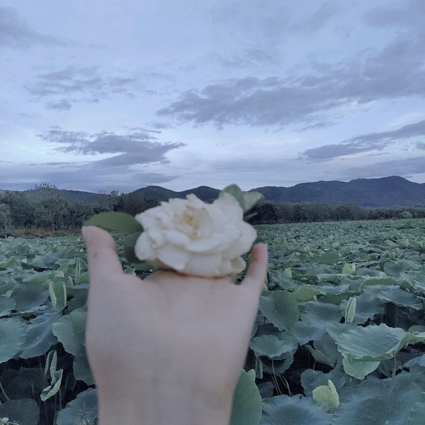 @愿上上签xxsc
