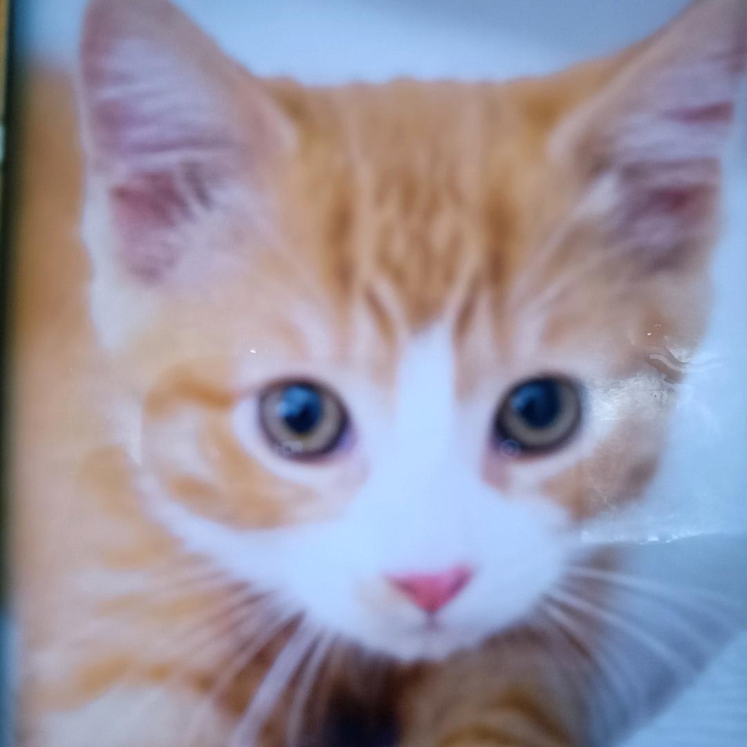 0点👗🍂烟花✨🇨🇳