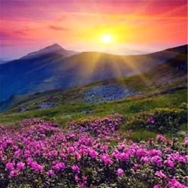 A泉州台商房产孙姐