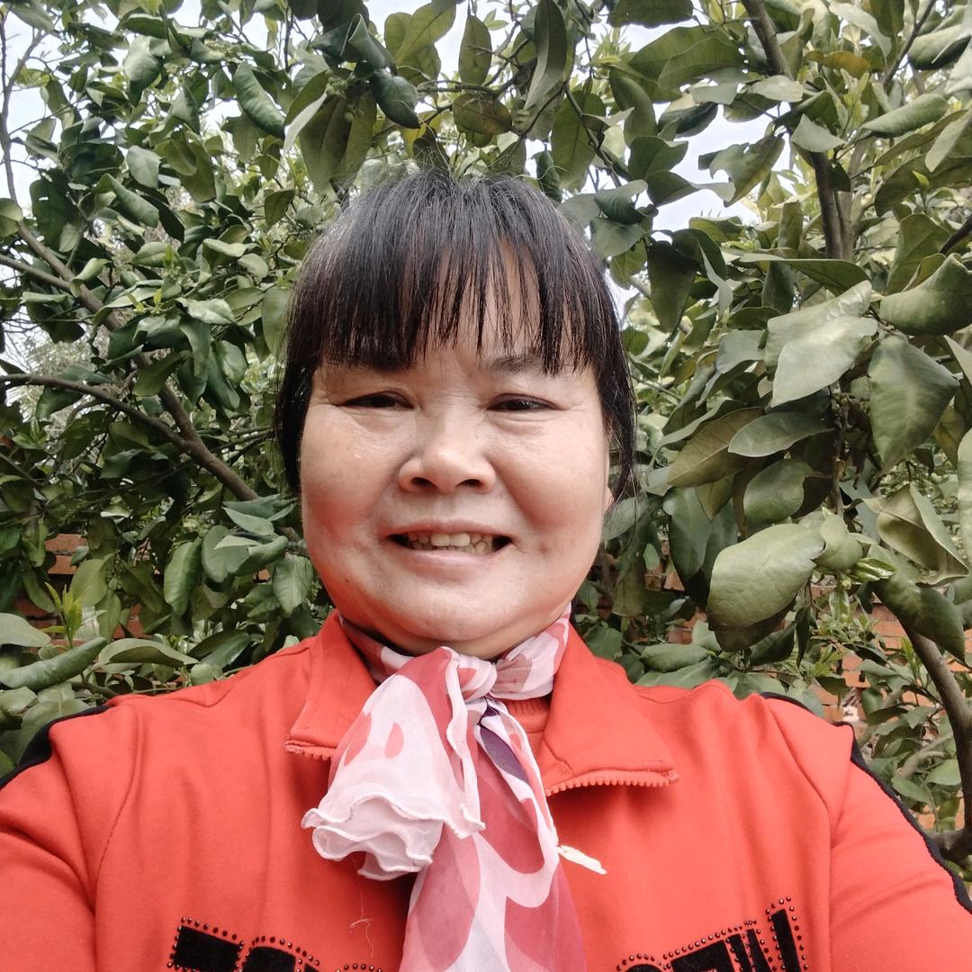 香飘飘
