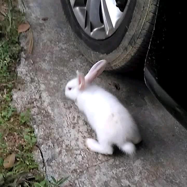 寻寻觅觅