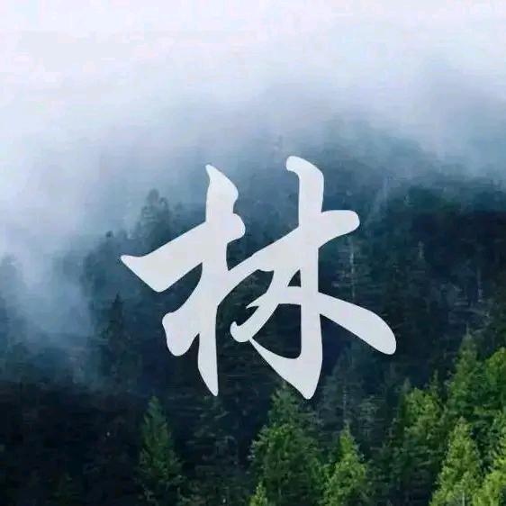 白狼🐺
