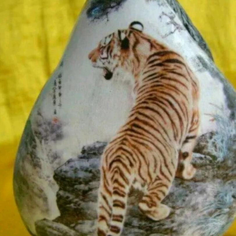 伊力老虎
