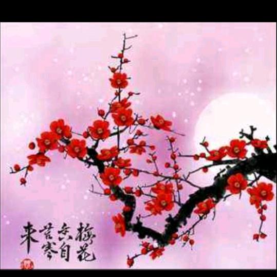 “梅”🌹🌹