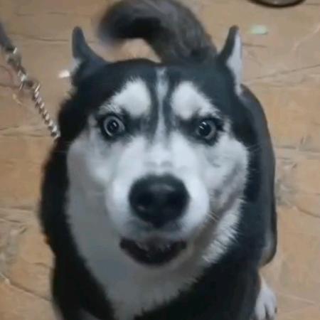 他化自在天
