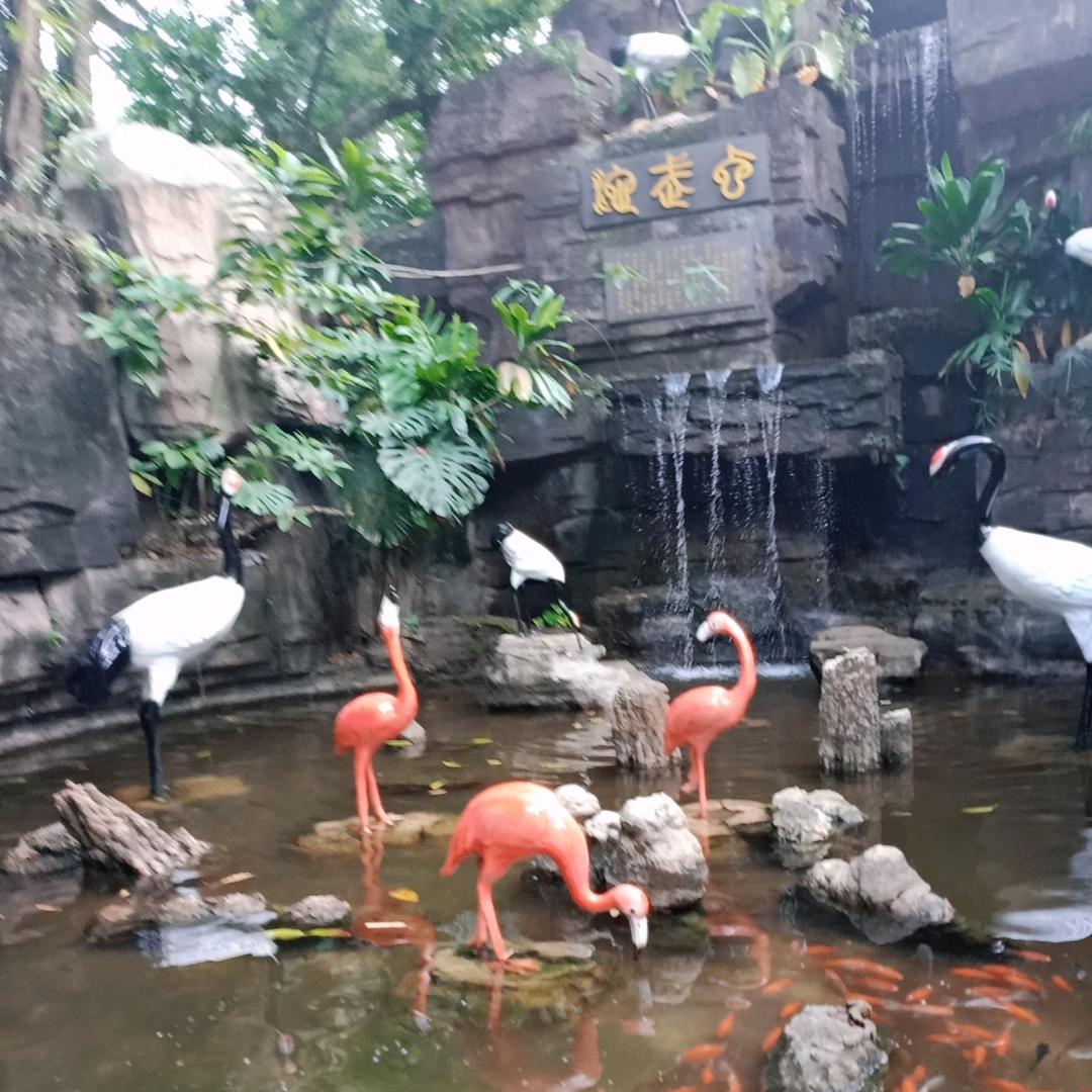 专业后整🌹车皮牌🌺花边🌺刘姐🌹