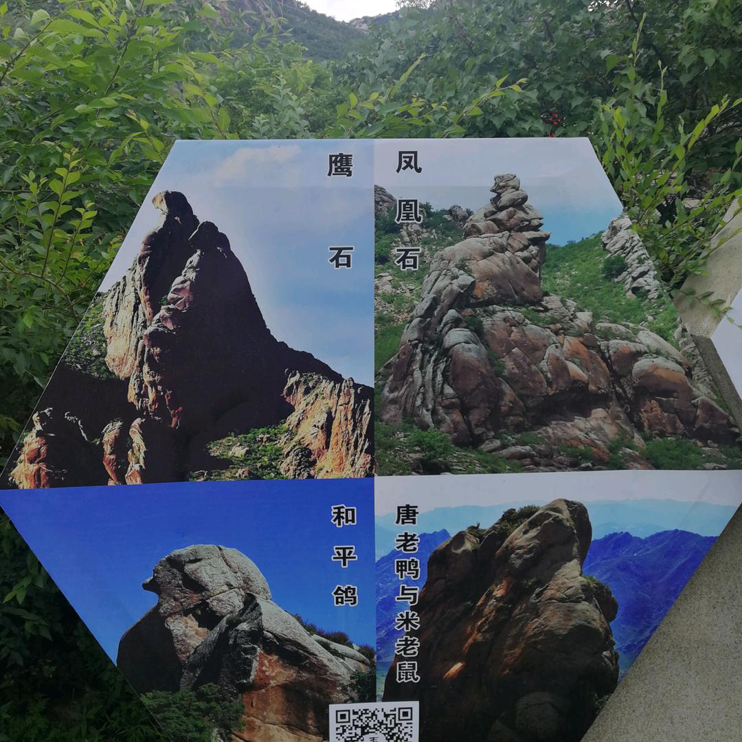 兔兔