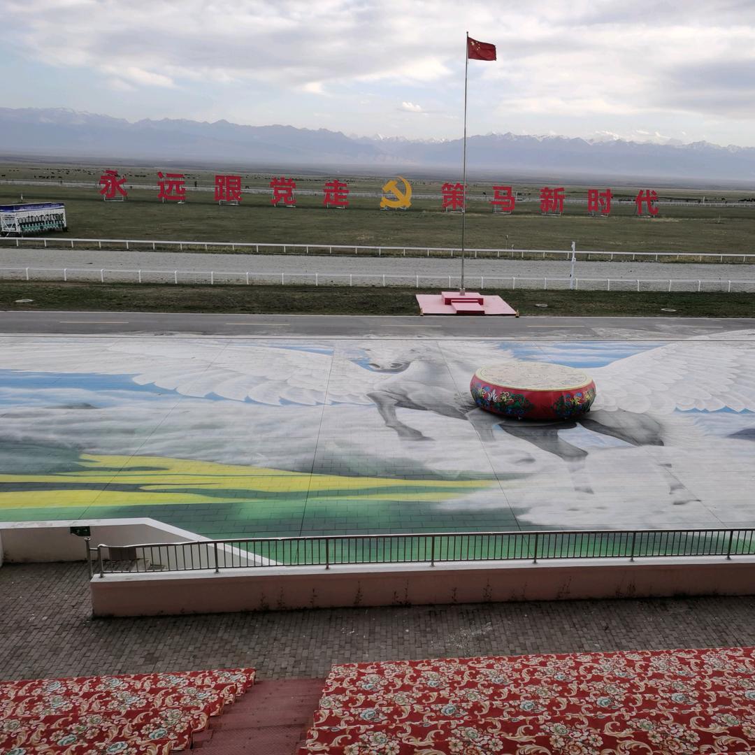 晨阳（橱窗有好物）