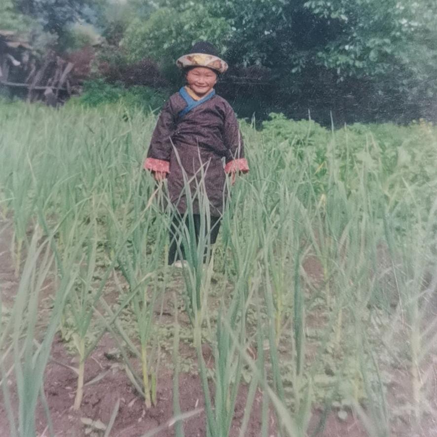 江南 林芝