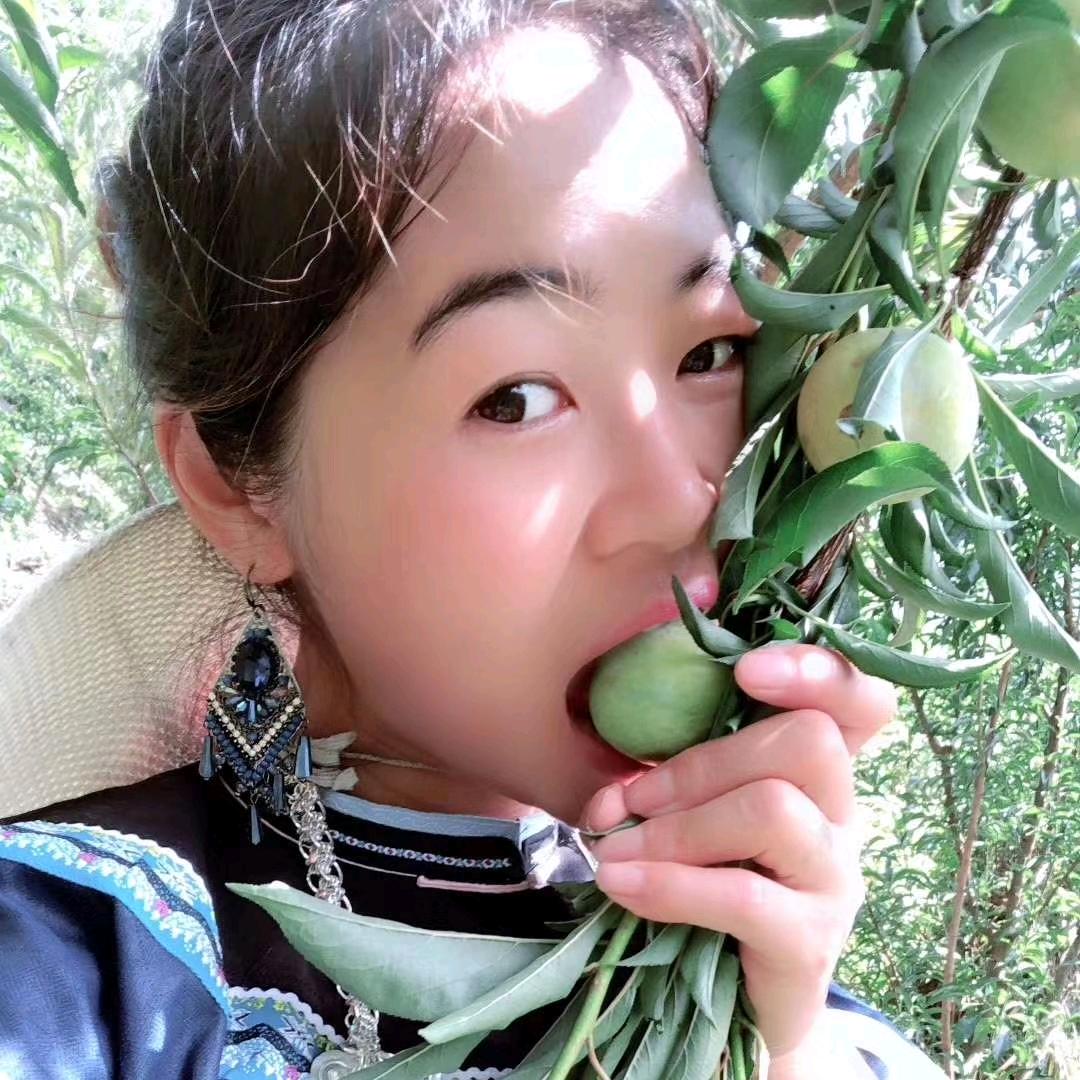 六马蜂糖李鲁叶