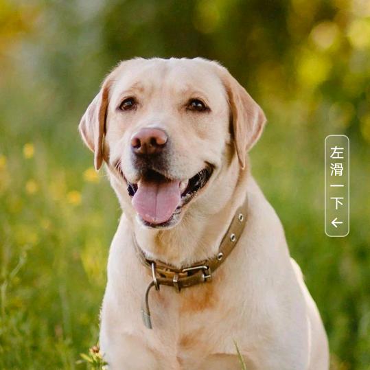 好男人好人一生平安168