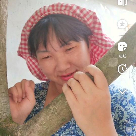 老十姐姐