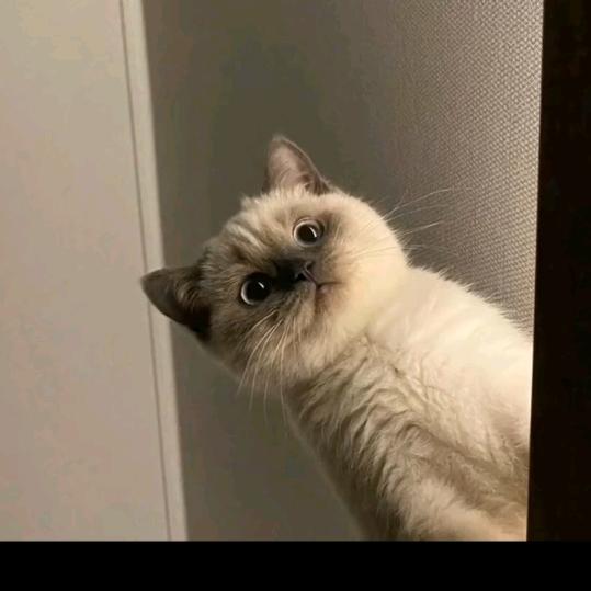 不知名普通人