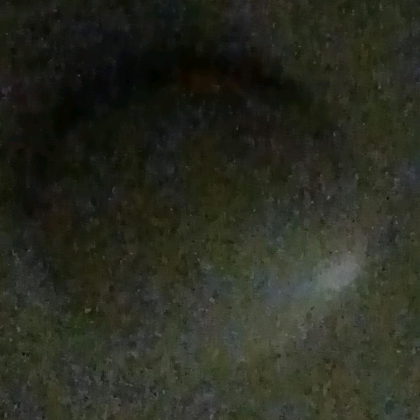 北漂的游子。