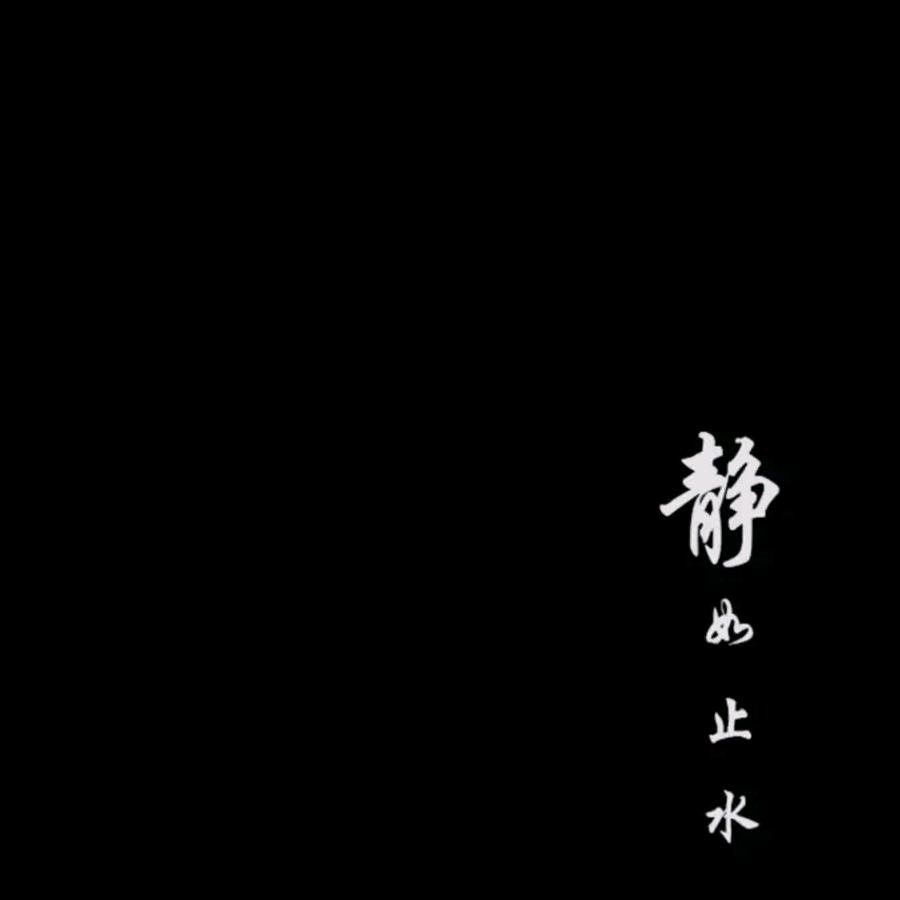 你咋又来了具体
