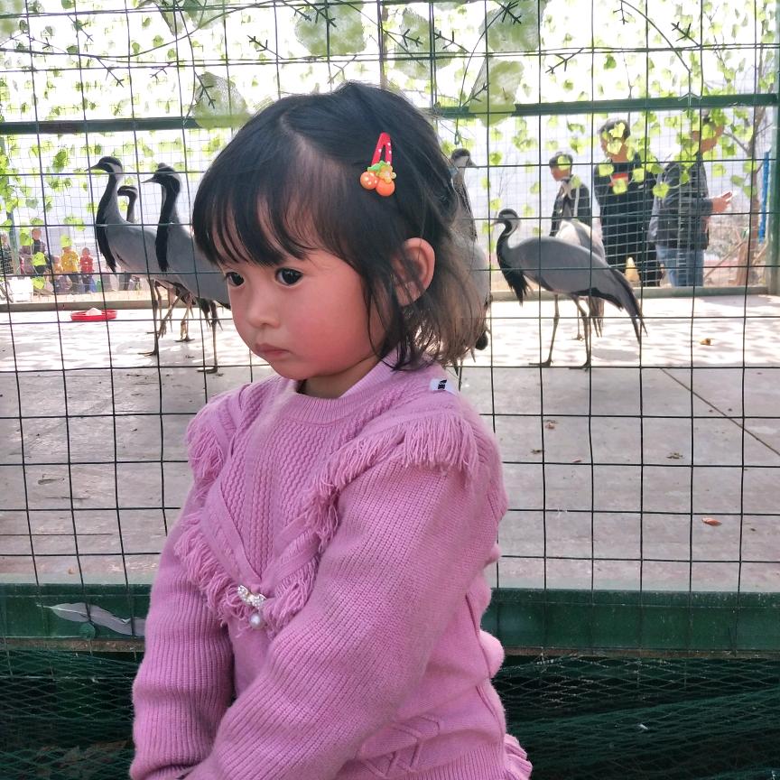 [̲̅V̲̅I̲̅P̲̅]、(剧终)づ