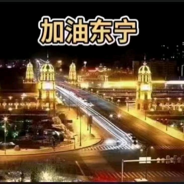 龙哥