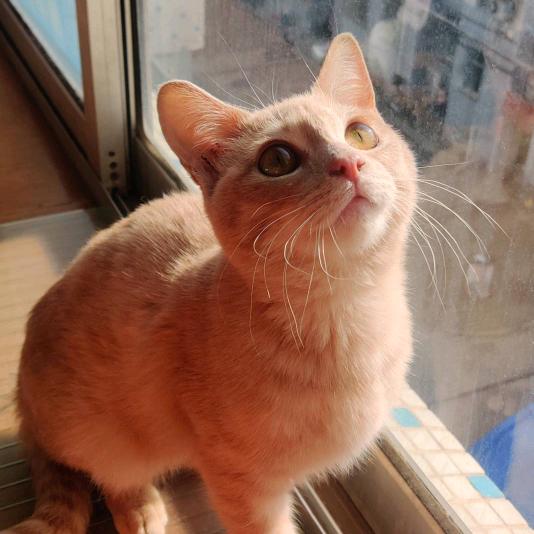 我的宝。