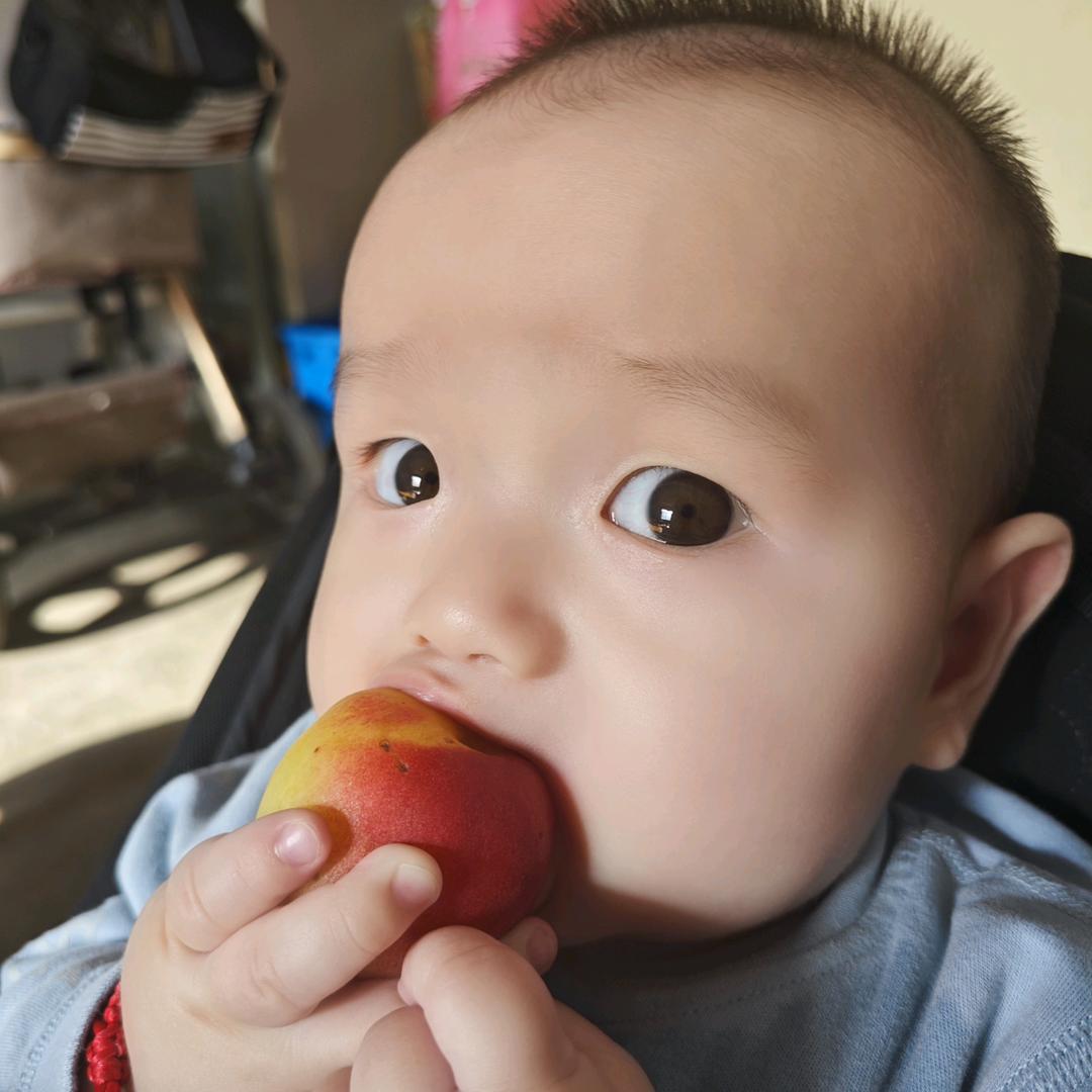 鼎典书画赵凯