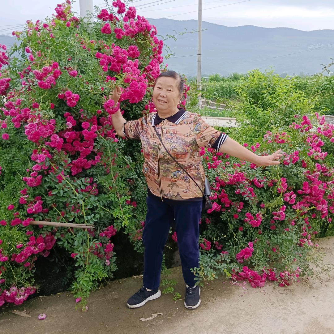 杨嬢嬢