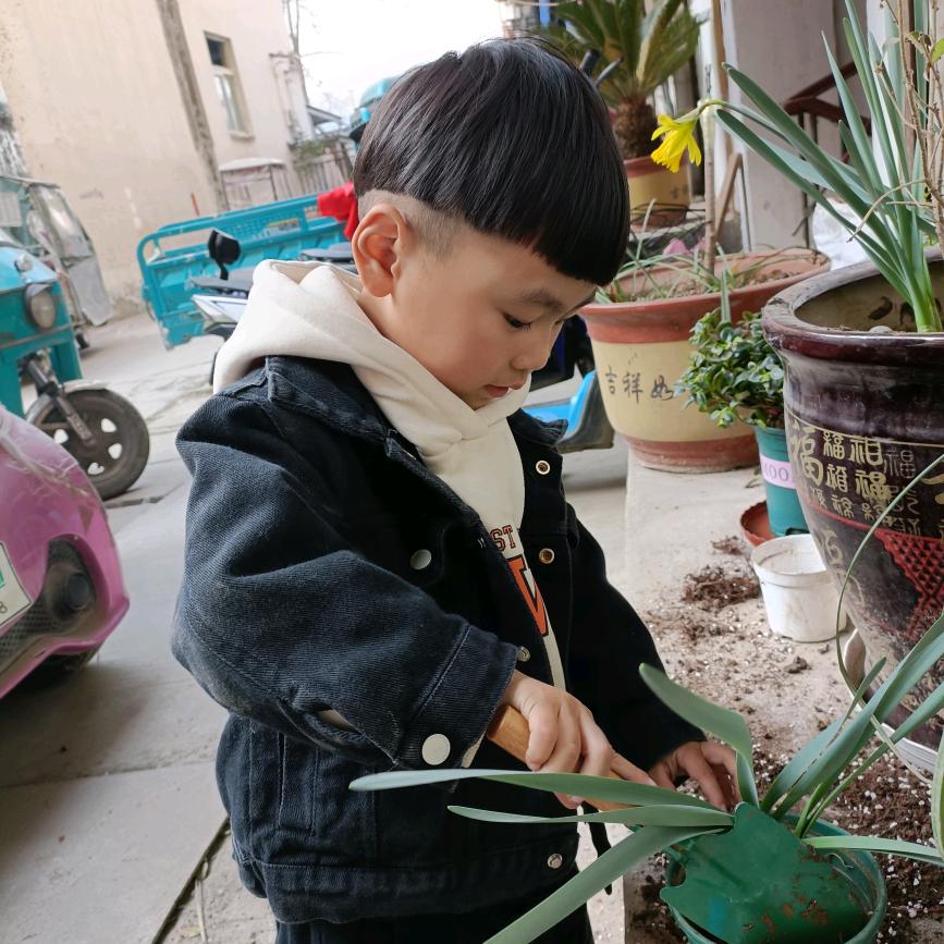 倾尽半世温柔