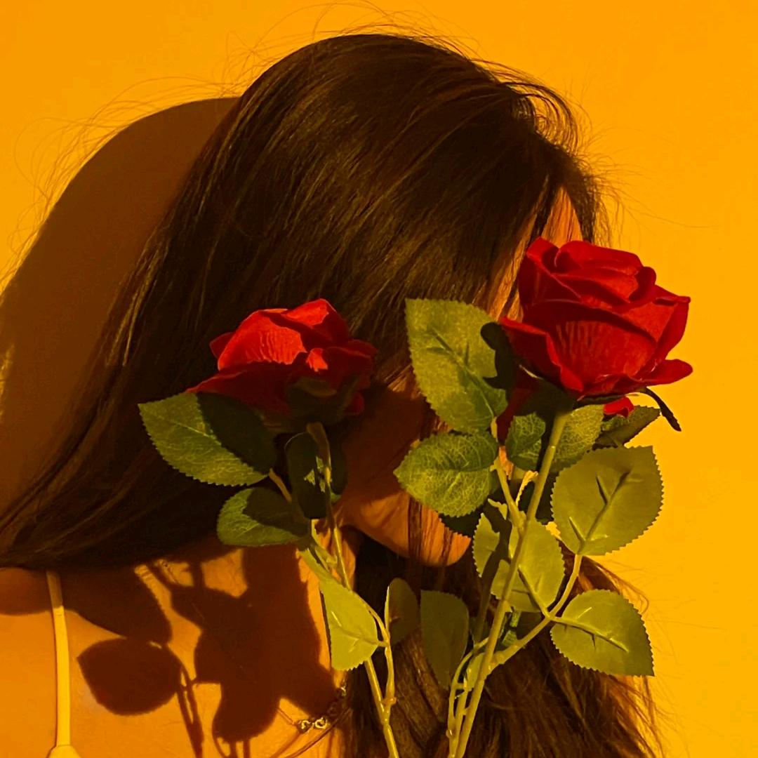 ❀南风♡微凉❀