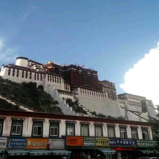 我从雪山来