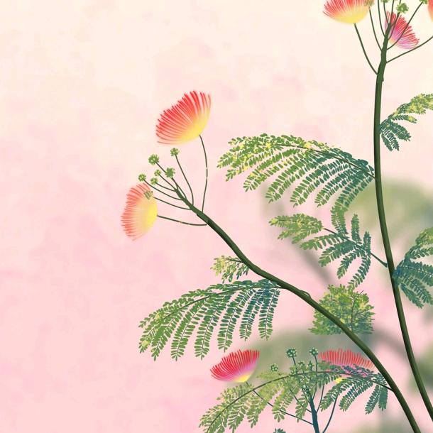 专业后台小料制作