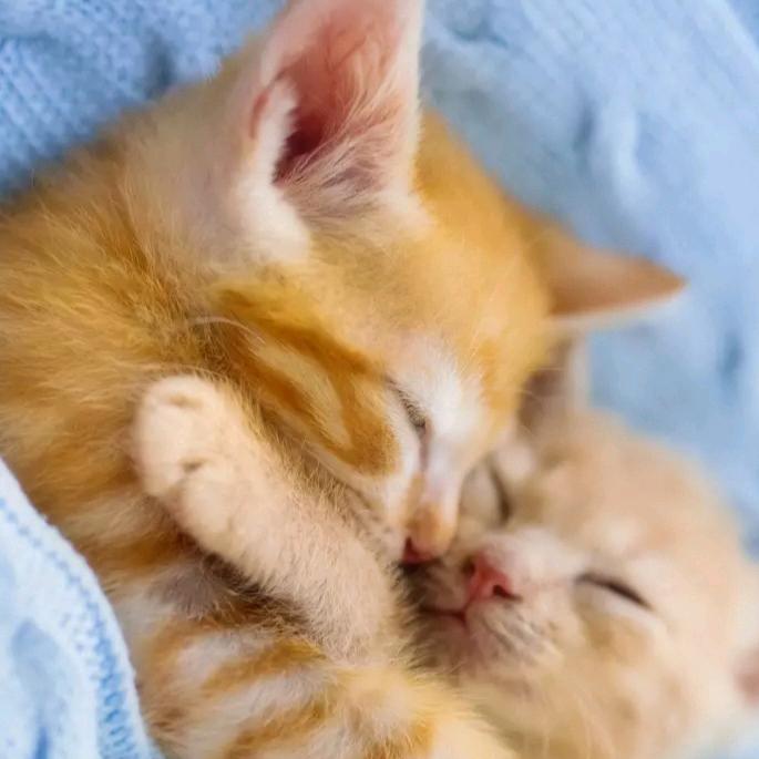 人丑嘴不甜！长得不帅还没钱。